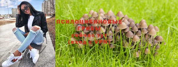 метадон Липки