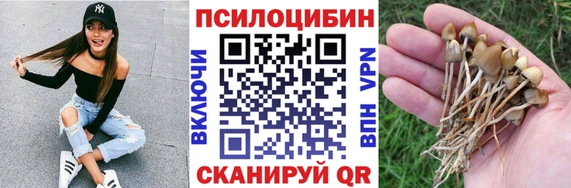 Галлюциногенные грибы Psilocybe Анапа