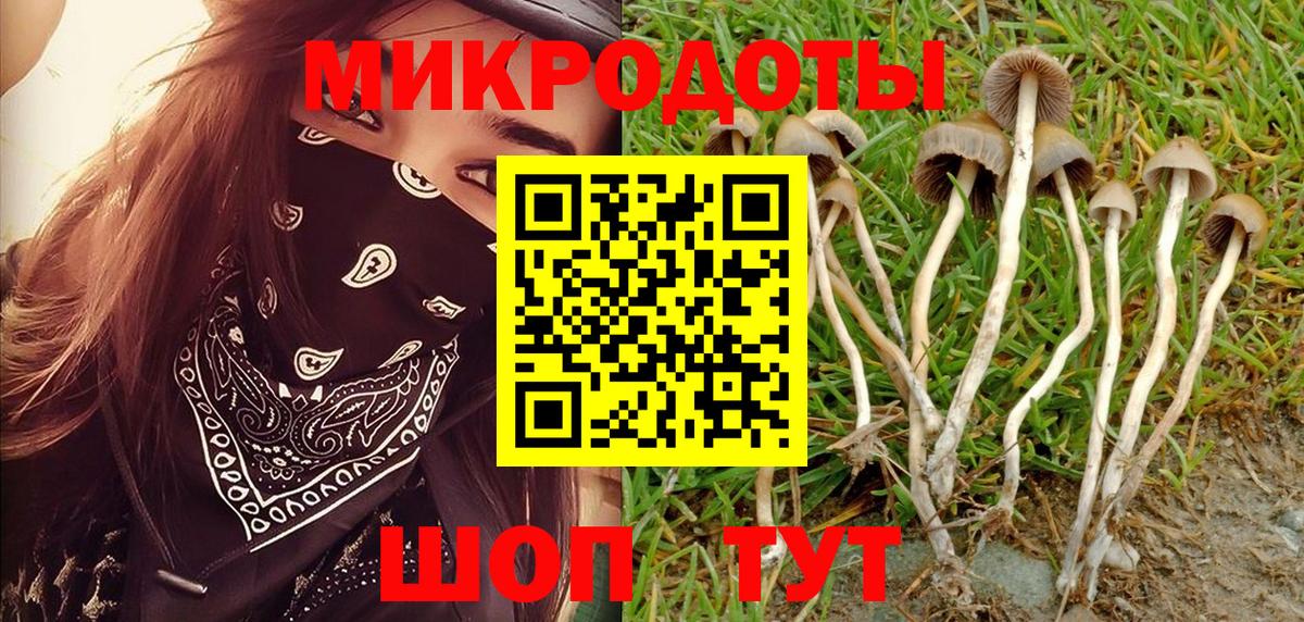 Псилоцибиновые грибы мухоморы  Вход с VPN  Анапа 