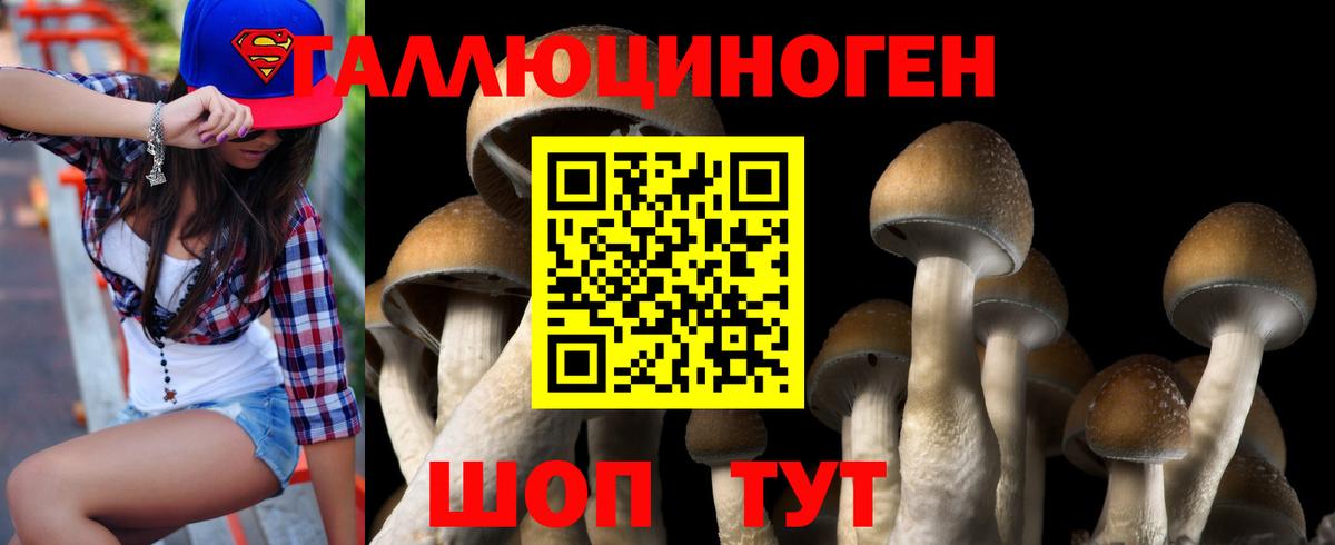 Галлюциногенные грибы Magic Shrooms  Вход с VPN  Анапа  Псилоцибиновые грибы Psilocybine cubensis 