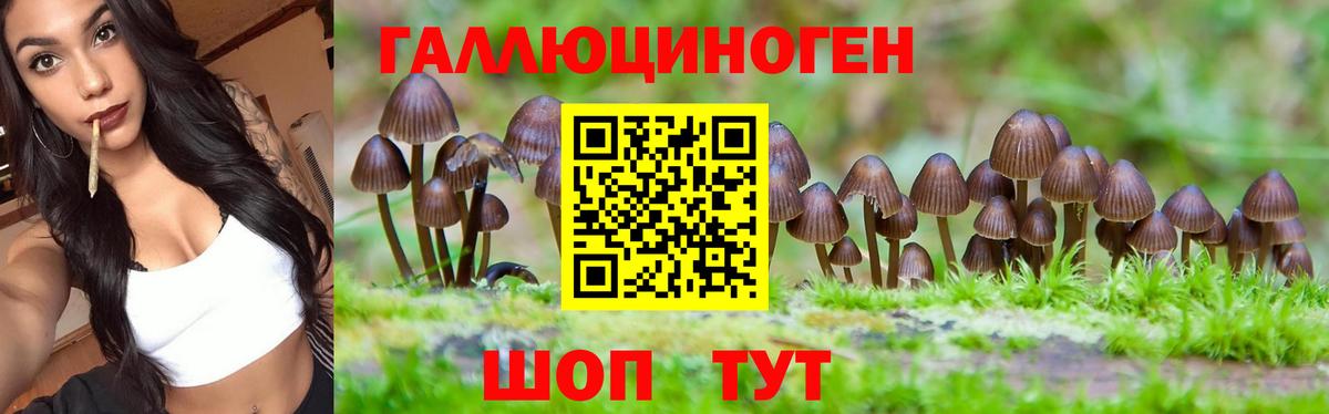 Псилоцибиновые грибы Magic Shrooms Анапа